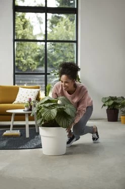 Bloempot Elho B.for Original Rond 30cm - Wit -Woondecoratie Winkel bfor original rond 30cm bloempot wit 7 17