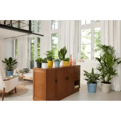 Bloempot Elho B.for Original Rond 25cm - Duifblauw -Woondecoratie Winkel bfor original rond bloempot duifblauw 4 1