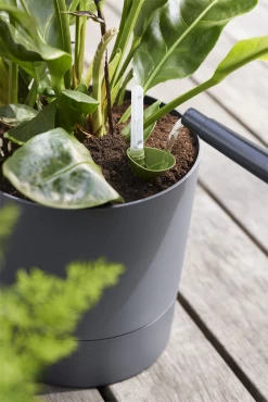 Bloempot Elho Greensense Aqua Care Rond - D30 X H29cm - Houtskoolgrijs -Woondecoratie Winkel bloempot elho greensense aqua care rond d30 x h29cm houtskoolgrijs bloempot 6 1