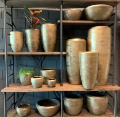 Plantenschaal Kos - D55 X H22cm - Goud -Woondecoratie Winkel bloempot kos serie goud bloempot 3 1 3