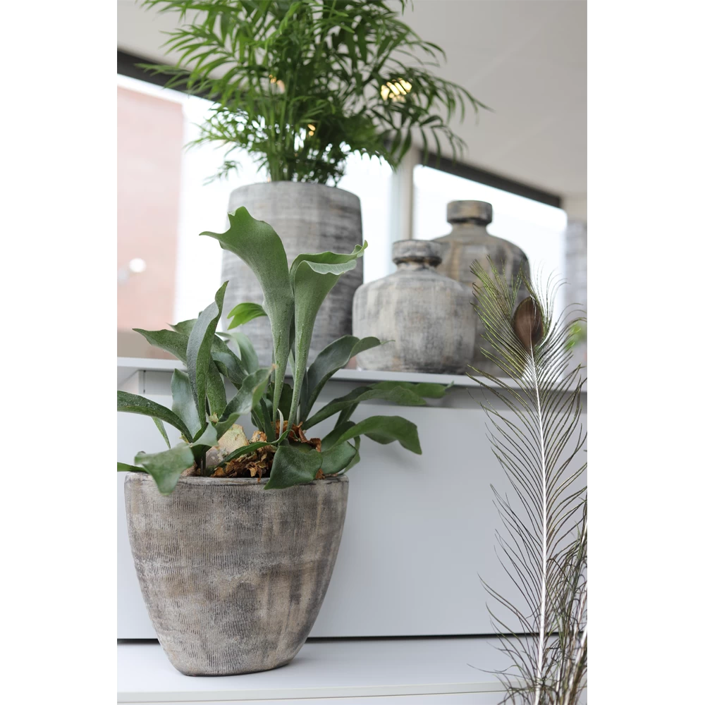 Bloempot Miami Ovaal - L33 X D13 X H24cm - Zwart Cement 2 Bloempot Miami Ovaal - L33 X D13 X H24cm - Zwart Cement - Afbeelding 2