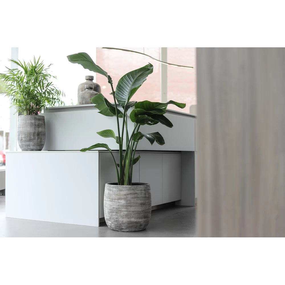 Bloempot Miami - D27 X H25cm - Zwart Cement 2 Bloempot Miami - D27 X H25cm - Zwart Cement - Afbeelding 2