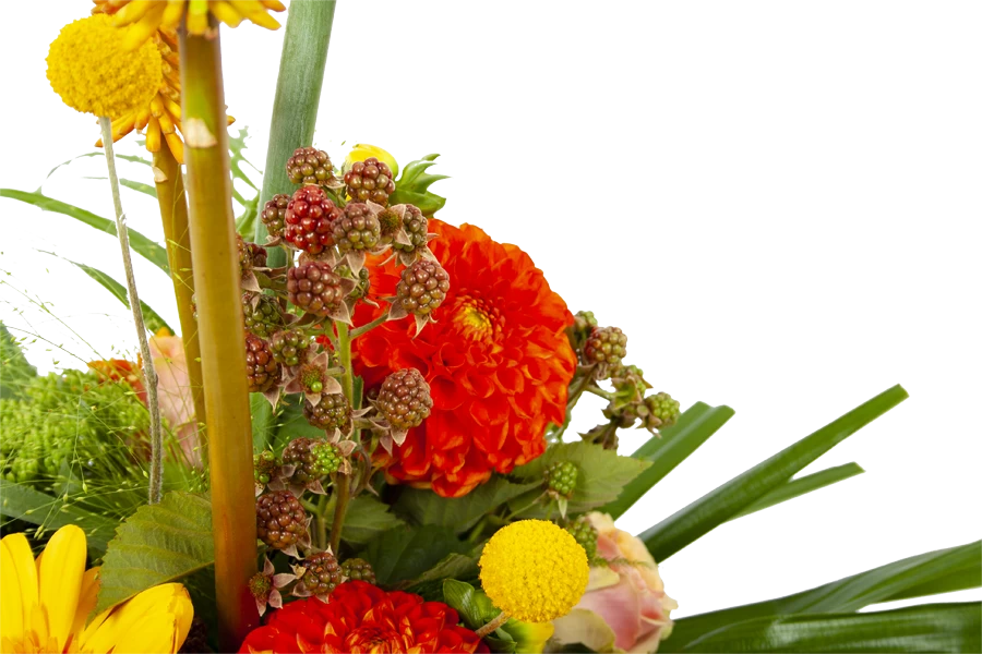 Boeket Beatrix Groot 3 Boeket Beatrix Groot - Afbeelding 3