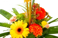 Boeket Beatrix Groot 9 Boeket Beatrix Groot -Woondecoratie Winkel boeket beatrix boeketten 4 3