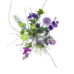 Bestsellers 1 Boeket Biezen Middel