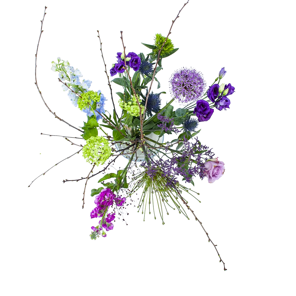 Boeket Biezen Groot 1 Boeket Biezen Groot