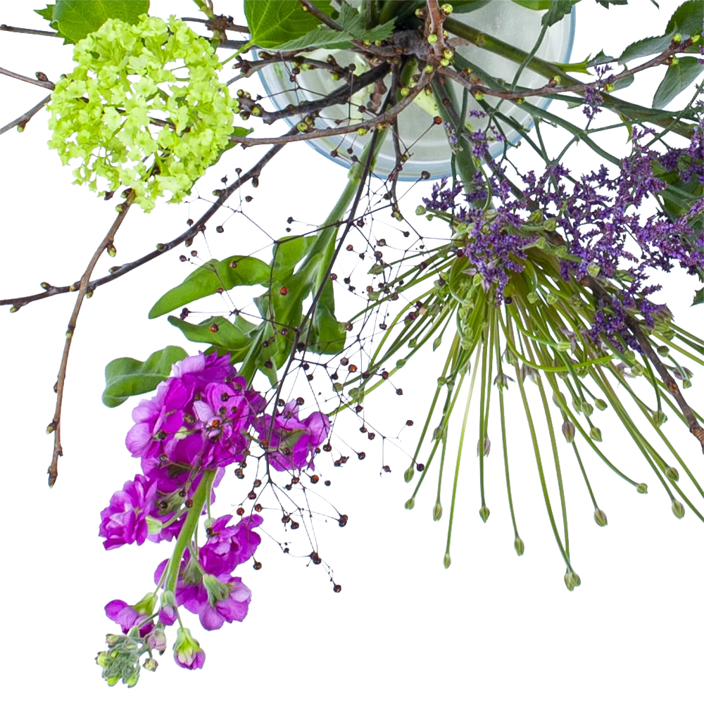 Boeket Biezen Groot 2 Boeket Biezen Groot - Afbeelding 2