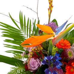 Boeket Deluxe Special Voor Jou Groot -Woondecoratie Winkel boeket deluxe special voor jou boeketten 3