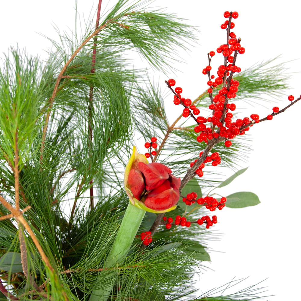 Boeket Deluxe Winter Middel 2 Boeket Deluxe Winter Middel - Afbeelding 2