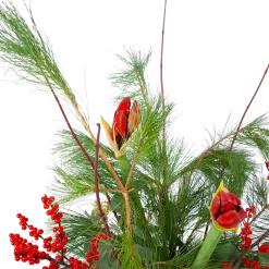 Boeket Deluxe Winter Middel 7 Boeket Deluxe Winter Middel -Woondecoratie Winkel boeket deluxe winter boeketten 3 1