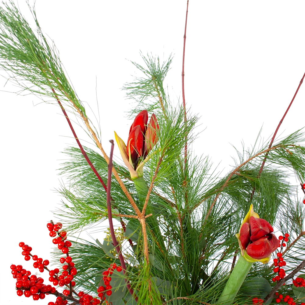 Boeket Deluxe Winter Middel 3 Boeket Deluxe Winter Middel - Afbeelding 3