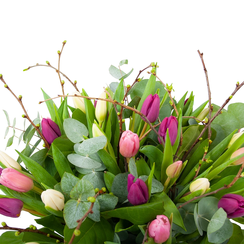 Boeket Kleurrijke Tulp Middel 2 Boeket Kleurrijke Tulp Middel - Afbeelding 2