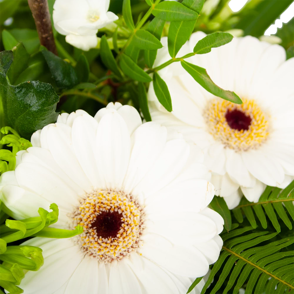 Boeket Liefdevolle Winter Groot 2 Boeket Liefdevolle Winter Groot - Afbeelding 2