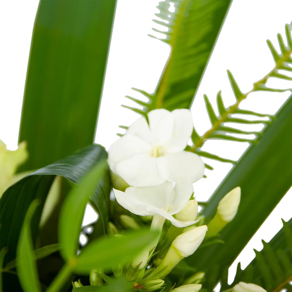 Boeket Liefdevolle Winter Groot 3 Boeket Liefdevolle Winter Groot - Afbeelding 3