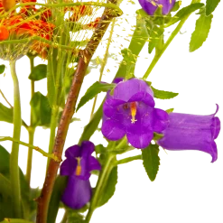 Boeket Plukgeluk Groot -Woondecoratie Winkel boeket plukgeluk groot boeketten 4