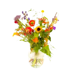 Boeket Plukgeluk Middel