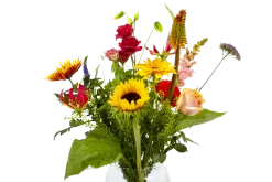 Boeket Vlinder Middel -Woondecoratie Winkel boeket vlinder boeketten 4 3