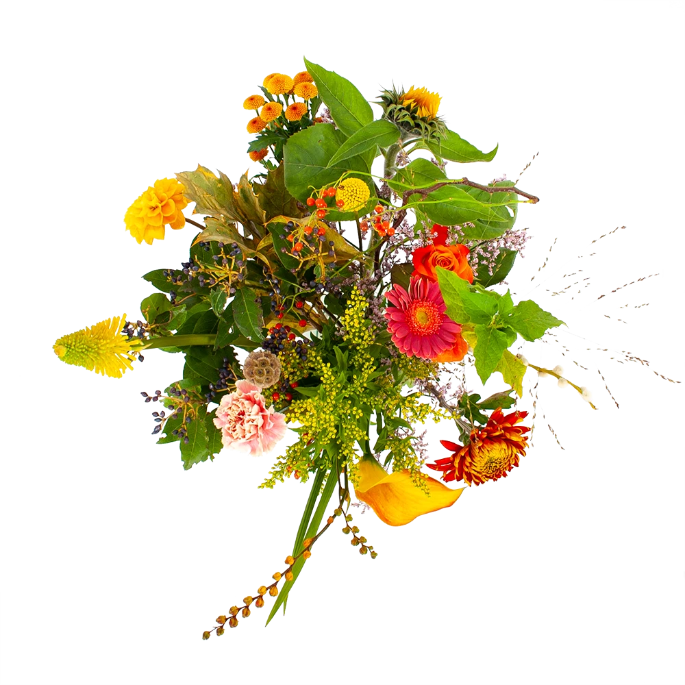 Boeket Vrolijk Klein 2 Boeket Vrolijk Klein - Afbeelding 2