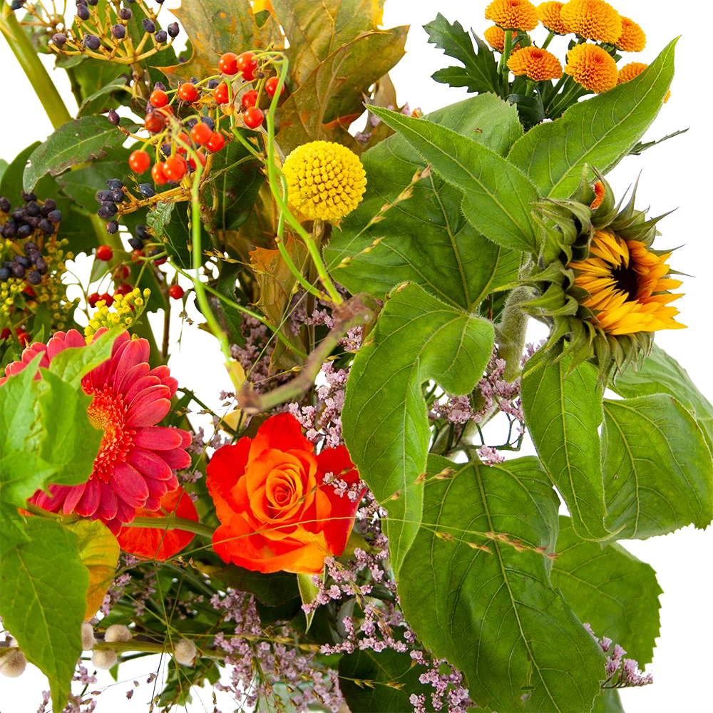 Boeket Vrolijk Middel 4 Boeket Vrolijk Middel - Afbeelding 4