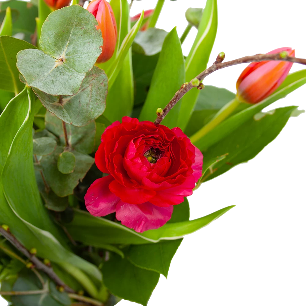 Boeket Vrolijk Roze Middel 2 Boeket Vrolijk Roze Middel - Afbeelding 2