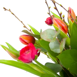 Boeket Vrolijk Roze Middel 7 Boeket Vrolijk Roze Middel -Woondecoratie Winkel boeket vrolijk roze boeketten 3