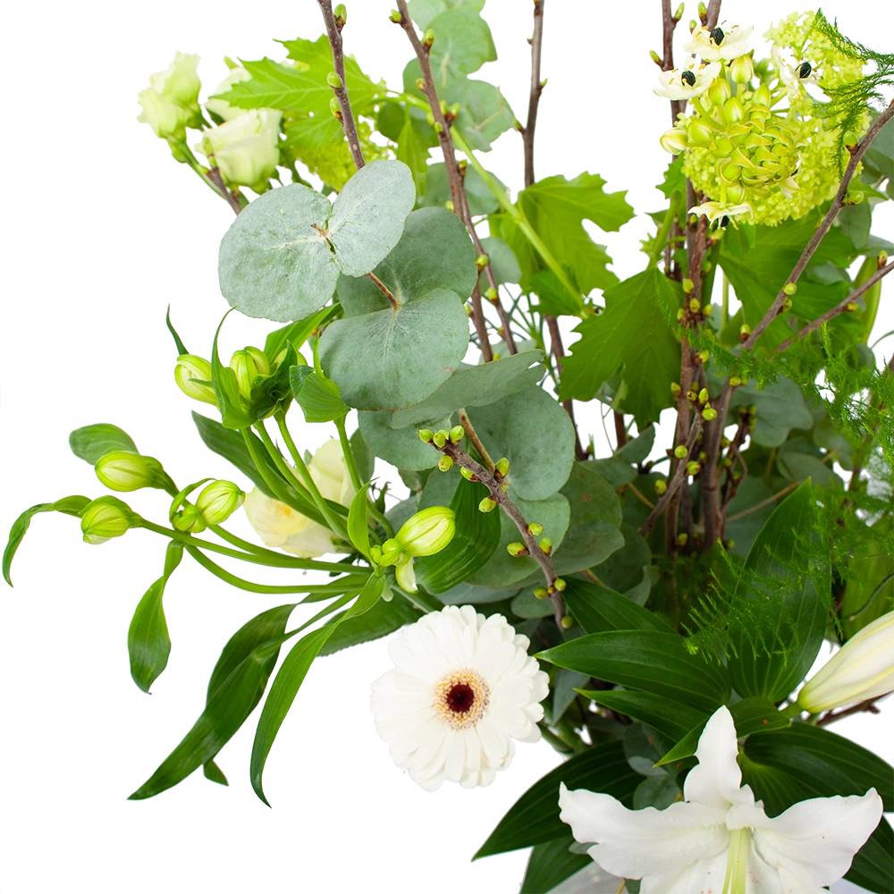 Boeket Witte Winter Groot 2 Boeket Witte Winter Groot - Afbeelding 2