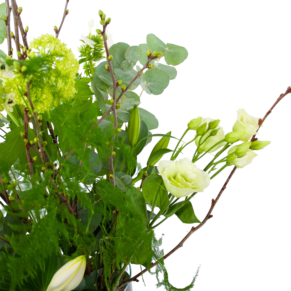 Boeket Witte Winter Groot 3 Boeket Witte Winter Groot - Afbeelding 3