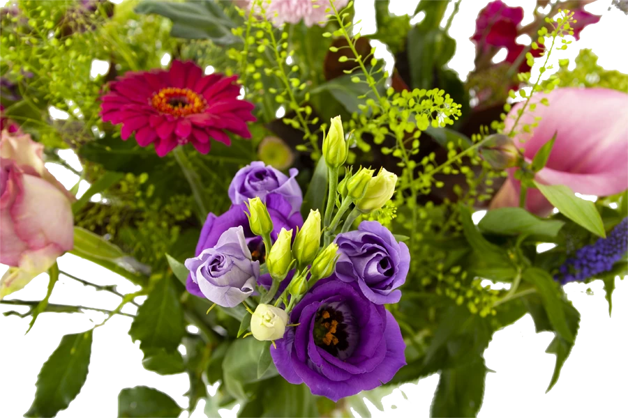 Boeket Zomerbries Groot 4 Boeket Zomerbries Groot - Afbeelding 4