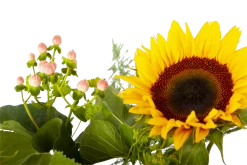 Boeket Zonnestraal Groot -Woondecoratie Winkel boeket zonnestraal boeketten 4 3