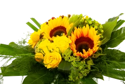 Boeket Zonnetje Middel 8 Boeket Zonnetje Middel -Woondecoratie Winkel boeket zonnetje boeketten 3 1