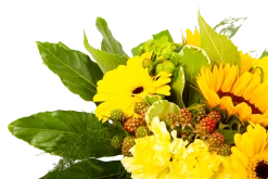 Boeket Zonnetje Middel 9 Boeket Zonnetje Middel -Woondecoratie Winkel boeket zonnetje boeketten 4 1