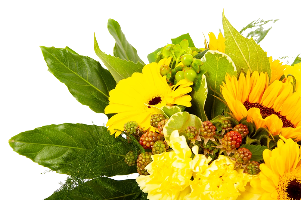 Boeket Zonnetje Middel 4 Boeket Zonnetje Middel - Afbeelding 4