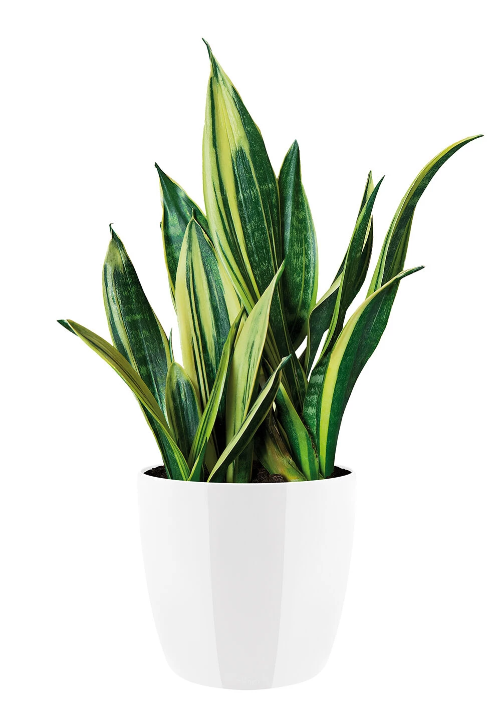 Bloempot Elho Brussels Diamond Rond 30cm - Wit 3 Bloempot Elho Brussels Diamond Rond 30cm - Wit - Afbeelding 3