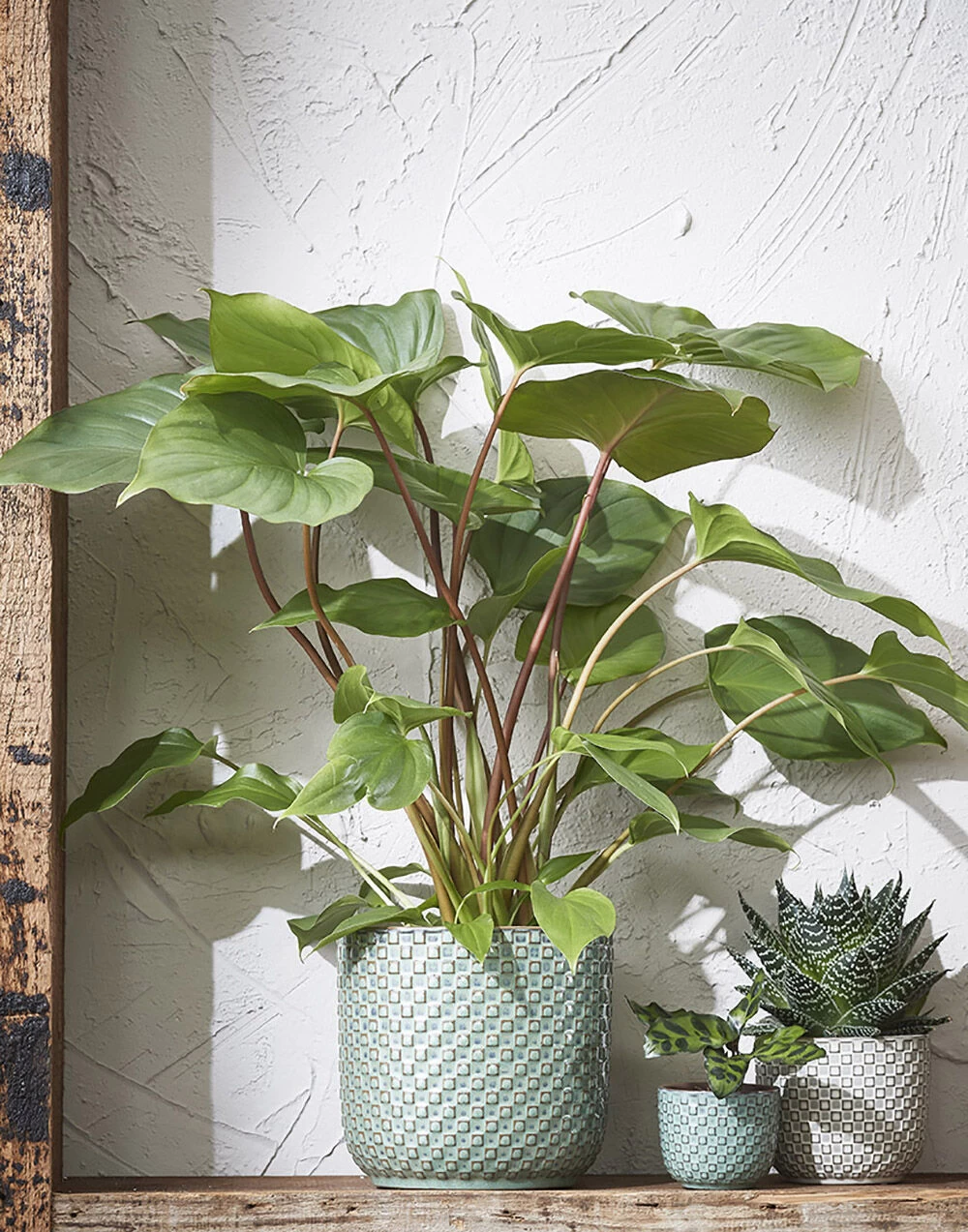 Bloempot Daan - D21.5 X H20.5cm - Groen 2 Bloempot Daan - D21.5 X H20.5cm - Groen - Afbeelding 2