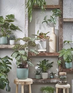 Bloempot Daan - D17 X H16cm - Wit -Woondecoratie Winkel daan pot rond wit h16xd17cm bloempot 7 7