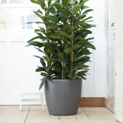 Bloempot Elho Brussels Rond 47cm - Met Wielen - Antraciet 5 Bloempot Elho Brussels Rond 47cm - Met Wielen - Antraciet -Woondecoratie Winkel elho brussels rond wielen 47 grijs bloempot 7 7