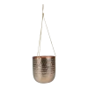 Hangpot Kody - D17 X H20cm - Rosu00e9 Goud