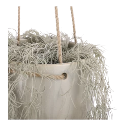 Hangpot Resa - D18,5 X H17cm - Lichtgrijs -Woondecoratie Winkel hangpot resa d18 5 x h17cm lichtgrijs hangpot 3 1