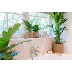 Plantenmand Joris - D42 X H36cm - Naturel -Woondecoratie Winkel plantenmand joris naturel plantenmand 3