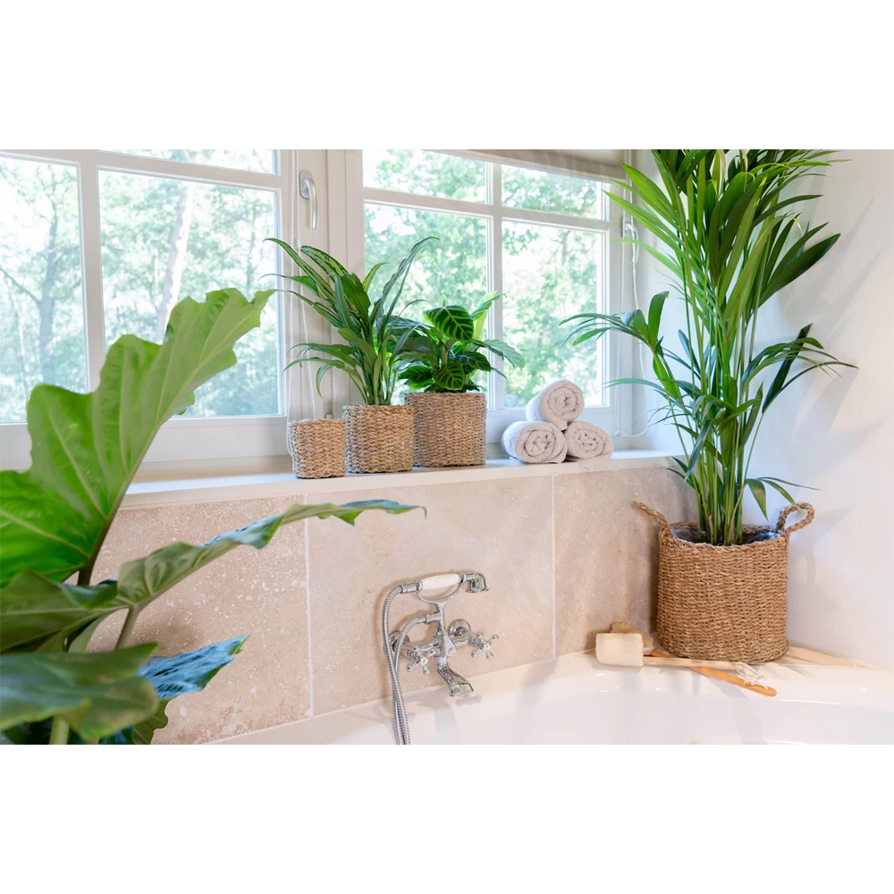 Plantenmand Joris - D38 X H33cm - Naturel 3 Plantenmand Joris - D38 X H33cm - Naturel - Afbeelding 3