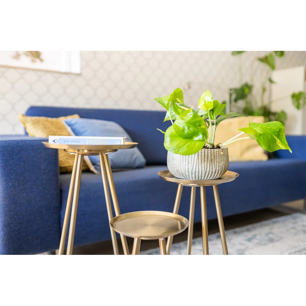 Plantenschaal Felco - D22 X H12cm 2 Plantenschaal Felco - D22 X H12cm - Afbeelding 2