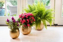 Bloempot Kody Metaal - D17 X H15cm - Goud -Woondecoratie Winkel pot kody gold metaal d17 h15 bloempot 7 10