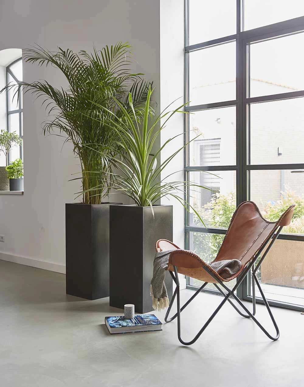 Capi Plantenbak Rechthoek Urban Smooth NL - L36 X B36 X H79cm - Zwart 2 Capi Plantenbak Rechthoek Urban Smooth NL - L36 X B36 X H79cm - Zwart - Afbeelding 2