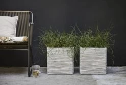 Capi Plantenbak Vierkant Nature Rib NL - L30 X B30 X H30cm - Ivoor -Woondecoratie Winkel pot vierkant rib nl 30x30x30 ivoor plantenbak 7 8