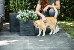 Capi Plantenbak Vierkant Nature Rib NL - L30 X B30 X H30cm - Zwart 5 Capi Plantenbak Vierkant Nature Rib NL - L30 X B30 X H30cm - Zwart -Woondecoratie Winkel pot vierkant rib nl 30x30x30 zwart plantenbak 7 8