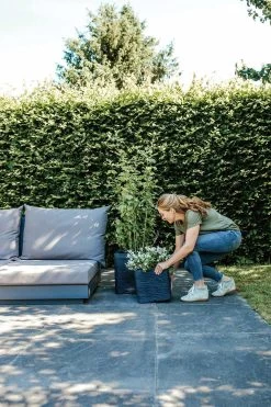 Capi Plantenbak Vierkant Nature Rib NL - L40 X B40 X H40cm - Zwart 5 Capi Plantenbak Vierkant Nature Rib NL - L40 X B40 X H40cm - Zwart -Woondecoratie Winkel pot vierkant rib nl 40x40x40 zwart plantenbak 7 8